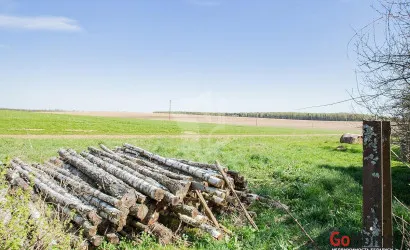  1-этаж.(63 м2), Борки(Первомайская ул.)