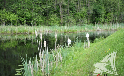 Купить дом, Брест, Козловичи, 16.17 соток. Фото 33