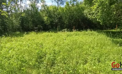  Олехновичи