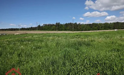  Цнянка(Дзержинского)