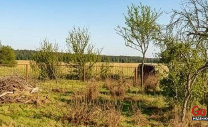 Купить дом, Дубовручье, Народная ул., 25 соток. Фото 10
