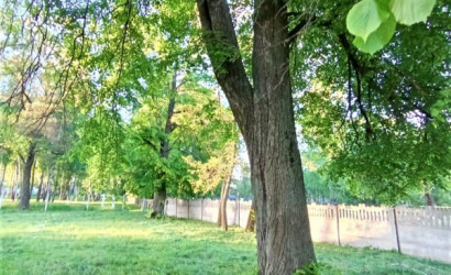 Купить дом, Тереховка, Спортивная, 1А, 16 соток. Фото 21