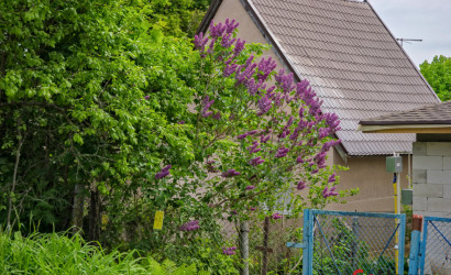 Купить дом, Дуброва, Набережная, 1, 6.4 соток. Фото 8