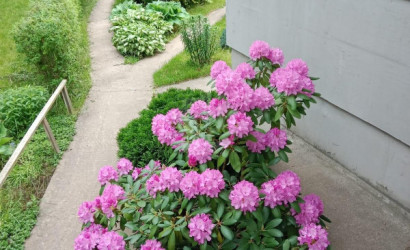 Купить дом, Надежда-АРДИ, 10.29 соток. Фото 3