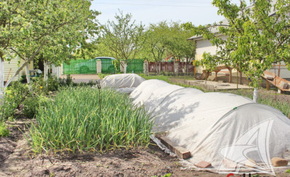 Купить дачу, Брест, Мухавецкий с/с, 4.11 соток. Фото 21