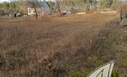 Купить дом в деревне, Горошковка 1, Каменюкский с/с, 25 соток. Фото 39