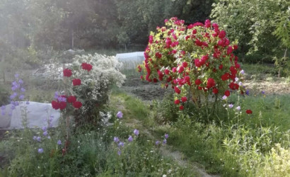 Купить участок, Лесок-1, 5.11 соток. Фото 6