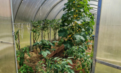 Купить дом в деревне, ЛЕСНОЕ-90, Сиреневая, 160, 8.92 соток. Фото 29