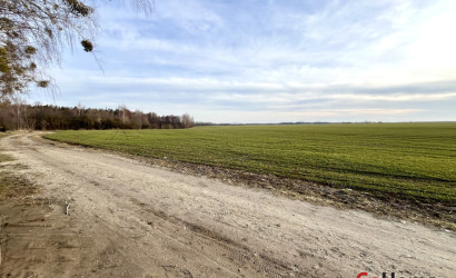 Купить дом, Некраши, 24.75 соток. Фото 14