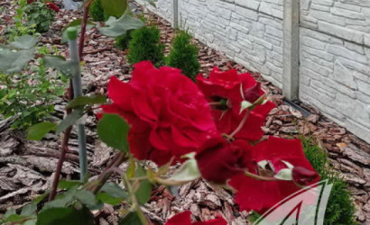 Купить дом, Остромечево, Лыщицкий с/с, 15 соток. Фото 30