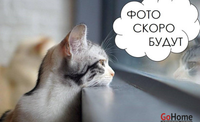 Купить 2-комнатную квартиру, Минск, Калиновского ул., 51/А (Первомайский район). Фото 3