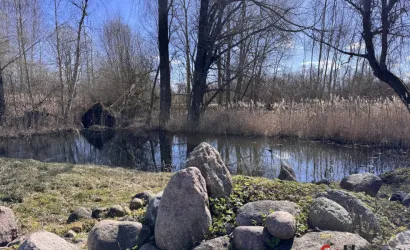  98.3 м2, Гущино