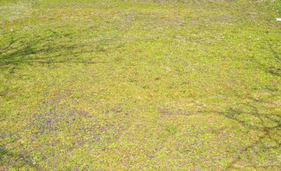 Купить дом в деревне, ПЛАНЕТА-2001, 4.76 соток. Фото 17