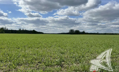 Купить участок, Малые Радваничи, Радваничский с/с, 25 соток. Фото 2