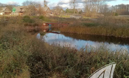 Купить дом в деревне, Горошковка 1, Каменюкский с/с, 25 соток. Фото 37