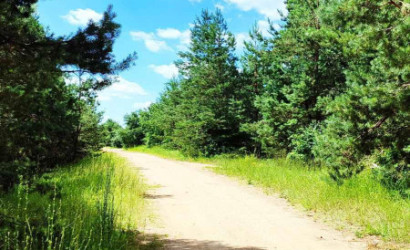 Купить дом, Замостье, Зеленая ул., 15 соток. Фото 14