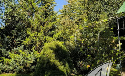 Купить дачу, Брест, Чернавчицкий с/с, 10.49 соток. Фото 35