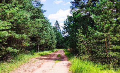 Купить дом, Замостье, Зеленая ул., 15 соток. Фото 15