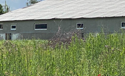 Продажа помещения, Кореличи, Гастелло ул.,  от 171 до 1737 кв.м.. Фото 4