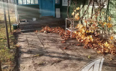 Купить дом в деревне, Горошковка 1, Каменюкский с/с, 25 соток. Фото 10