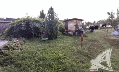  1-этаж.(50.1 м2), Березняки(Пелищенский с/с)