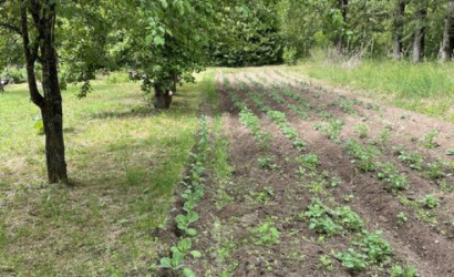 Купить 2-комнатную квартиру, Селец, Молодёжная, 35. Фото 8