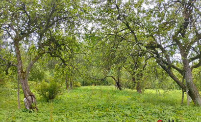 Купить дом, Каниковичи, Луговая ул., 4, 25 соток. Фото 16