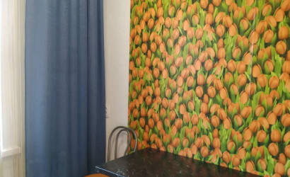 Снять 1-комнатную квартиру на сутки, Новополоцк, 7линия  д.4 к.9. Фото 5