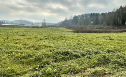 Купить участок, Задомля, 31 соток. Фото 4