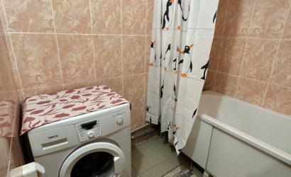 Снять 1-комнатную квартиру на сутки, Логойск, Минская 17а. Фото 9