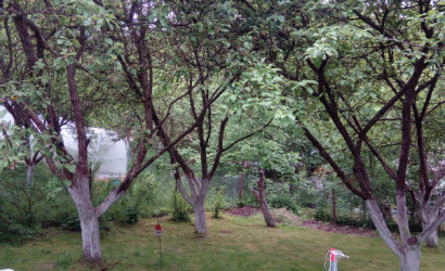 Купить дачу, Дубенцы, ул.Горная, уч.139, 6.45 соток. Фото 11