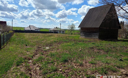  Забичаны
