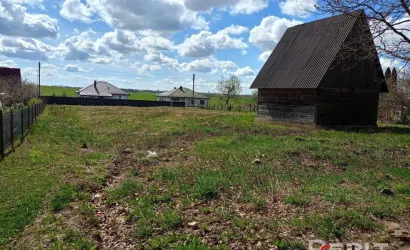  Забичаны