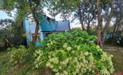 Купить дом в деревне, МЕТАЛЛИСТ, 9.31 соток. Фото 4