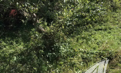 Купить дачу, Брест, Мухавецкий с/с, 5 соток. Фото 11