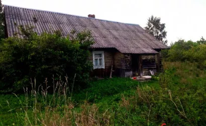  1-этаж.(59.6 м2), Еди(Еди 6)