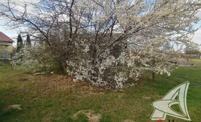 Купить дом, Ленинский, Ленинский с/с, 25.04 соток. Фото 18