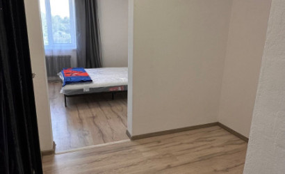 Снять 1-комнатную квартиру, Лесковка, Лесная. Фото 3