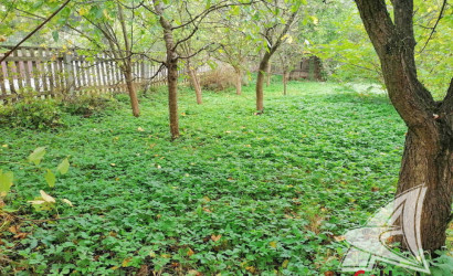 Купить дом, Ковердяки, Мотыкальский с/с, 12.09 соток. Фото 18