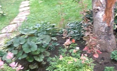 Купить дачу, Руденск-2, СТ ВЕРАС81, 5 соток. Фото 9