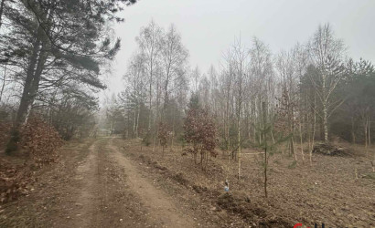 Купить участок, СТ Афган-2, 8.96 соток. Фото 3