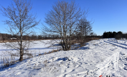 Купить участок, Гули, Мухавецкий с/с, 24.29 соток. Фото 18