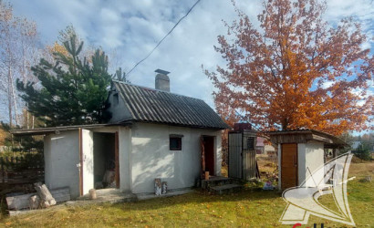 Купить дачу, Брест, Знаменский с/с, 7.01 соток. Фото 11