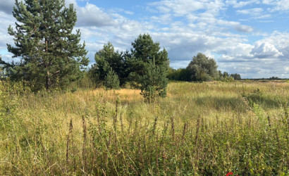 Снять коттедж, Глуск, Центральная . Фото 9