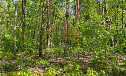 Купить дачу, Пески, Клейниковский с/с, 4.28 соток. Фото 15