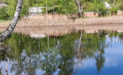 Купить дачу, Спутник, 6.39 соток. Фото 8