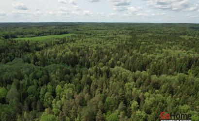 Купить участок, БОРЩЕВНИК, 10 соток. Фото 4