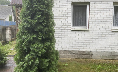 Купить дом в деревне, Дитва, 6.35 соток. Фото 5