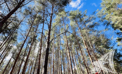 Купить дом, Гули, Мухавецкий с/с, 24.29 соток. Фото 23