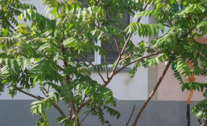 Купить 2-комнатную квартиру, Городок, Гагарина. Фото 16